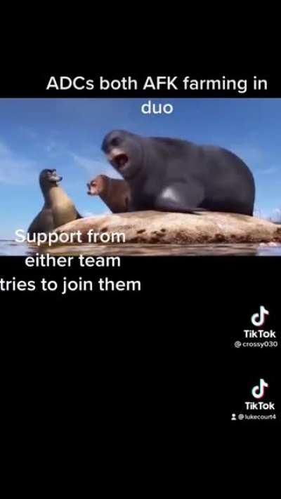 No farm shall be split