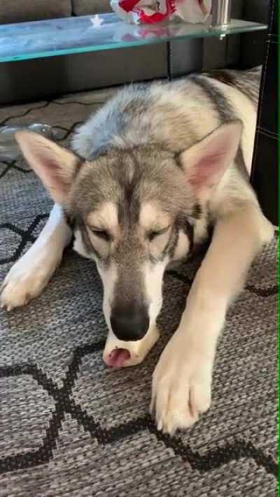 Dexter's "Bone Trick"