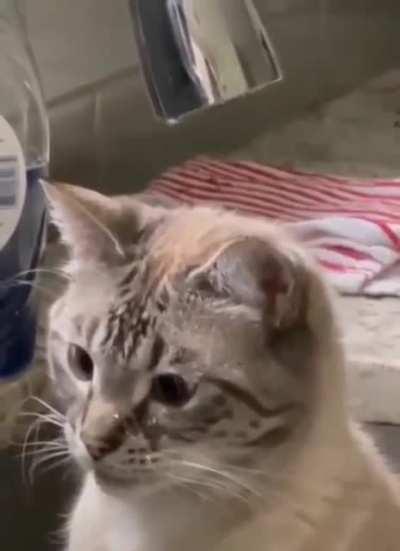 System updating, please wait