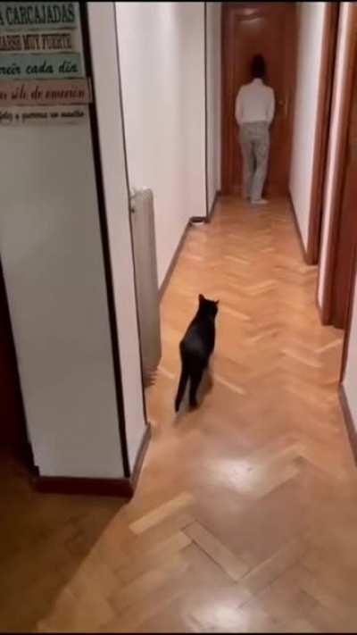 А чо я? Стою!