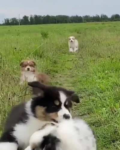 Some say he’s playing defense for the Patriots now