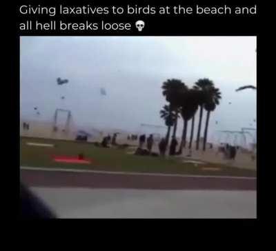 Don’t give me ideas