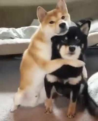 Эмпатия это вот такое ♡ чувство