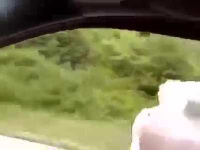 Elephant-sized edition