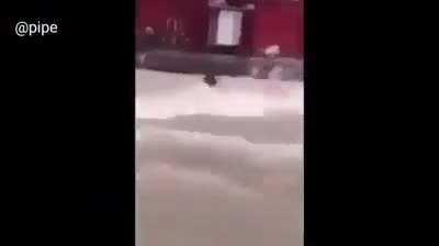 Latino America 2022: survival edition.