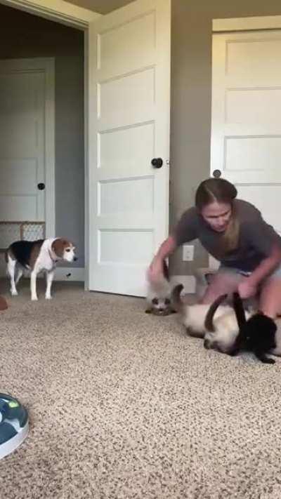 Criminals attacking waitress (Warning, very violent)