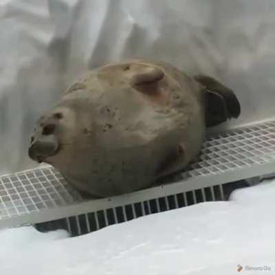 What's that? Nothing? Okay