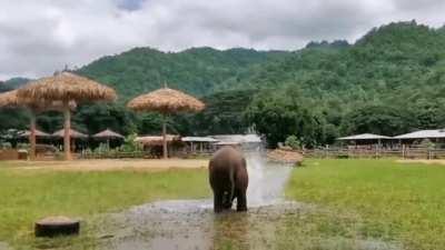 Fun with a broken water pipe