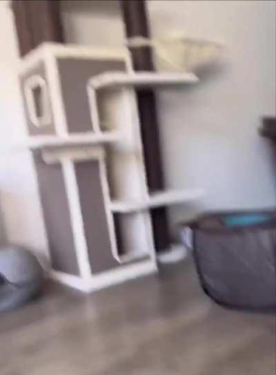 I’m fine here, thanks 