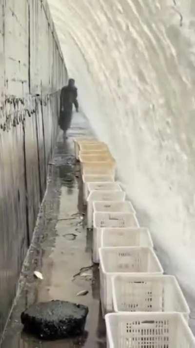 This guy set up buckets to catch fish going over the waterfall.