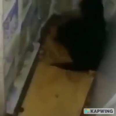 Fighting on Destiny Island Day 2 like