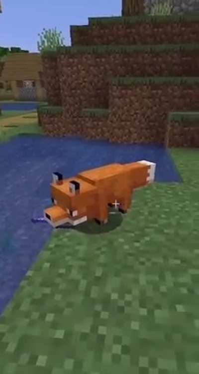 i don’t know what to say