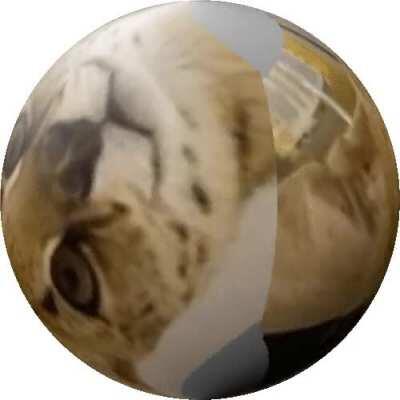 ah hell nah get sogga outta there 💀💀💀