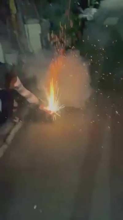 Some dogs just want to see the world burn