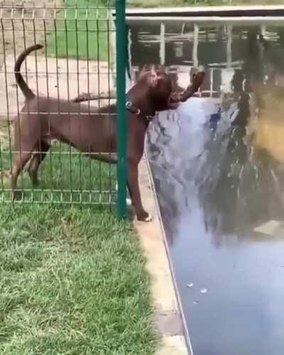 My stick and I are one, nothing can hold us back