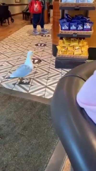 He knows it’s wrong 😂 xpost from u/mishraabeer