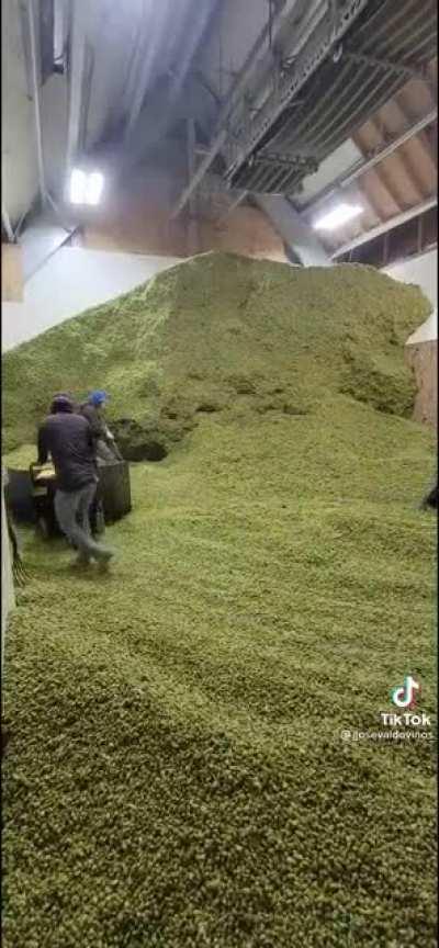 Flow Gardens is already getting ready for the next drop