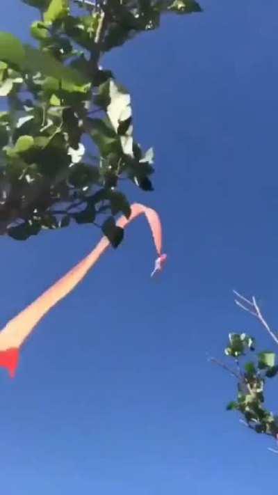 Чилавег За БОртм!!