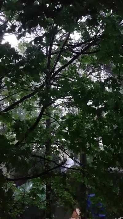 Outside my sister's window :) Canada, Ontario