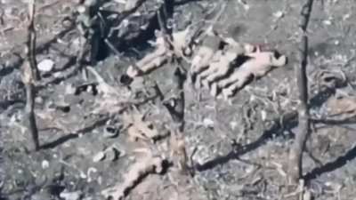 Ukrainian prisoners of war being executed🤬