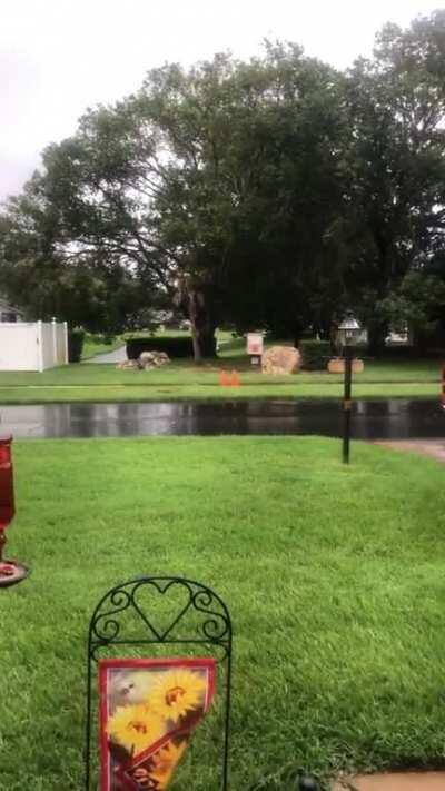 gotta love that florida rain! i’m staying (safely) out of state with some family and i’m not used to summer rain!