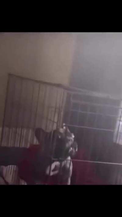 Sounds like she’s buying cigarettes and not flowers.