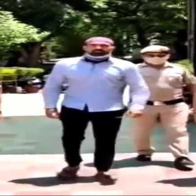 Funny Doge flying prank gone wrong 2021 Hd