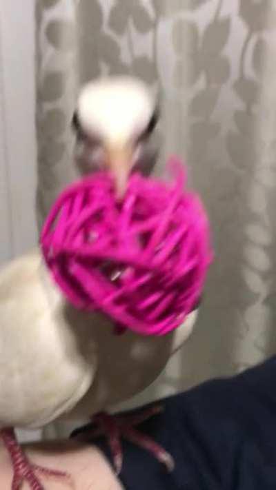 Someone suggested that I post this video here 😄