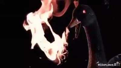 When Mr. Goose has had enough of weeb posts