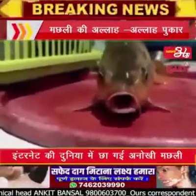 100% real no Clickbait 🤯