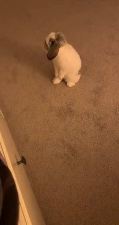 Mom give me attention