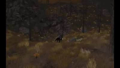 I Found a Hidden Hobbit Farmer Out of Bounds — Dev Test NPC or Secret LOTRO Easter Egg?