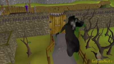 When you enter West Ardougne