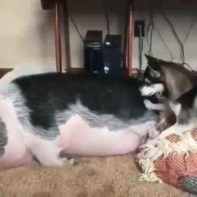 Please just 5 more minutes, Mom.