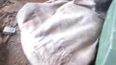 A Ukrainian soldier of the 3rd Assault Brigade feeding a scared local dog during the battle in Avdiivka