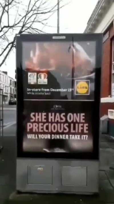 to advertise veganism