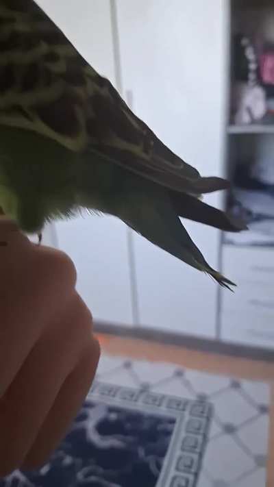 Her bum bum get bigger help