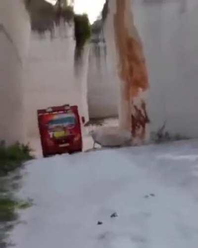 I thought it was a toy