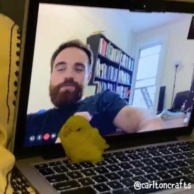 When the scritches are fake but your love for 2nd favorite hooman is real 😂💛