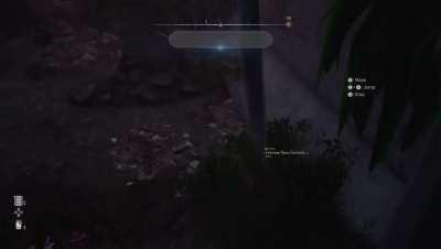 Dang, the auto-capture trophy setting caught me staring 😅