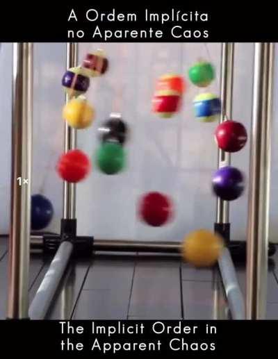 the implicit order in the apparent chaos