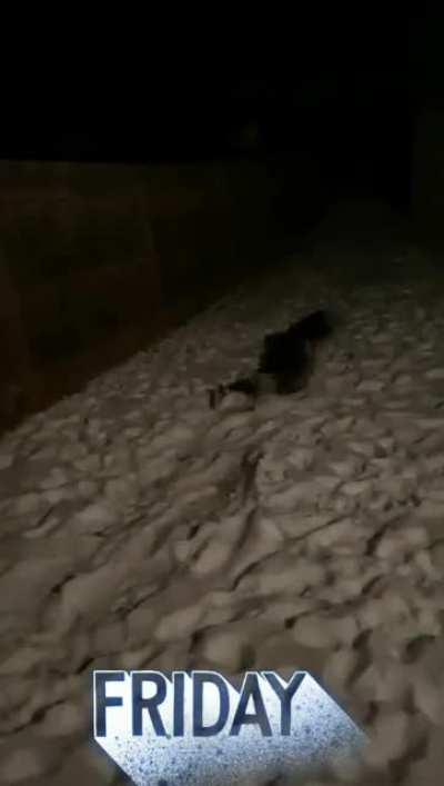 Tell me you are on swim team without telling me you are on swim team