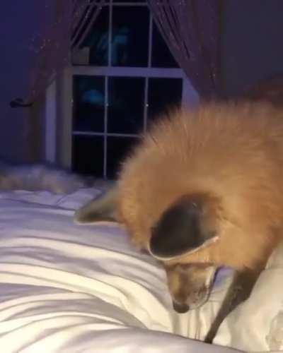 Essa neve não funciona