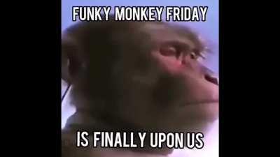 ‼️ funky friday ‼️