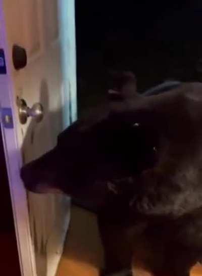 To find food in the House