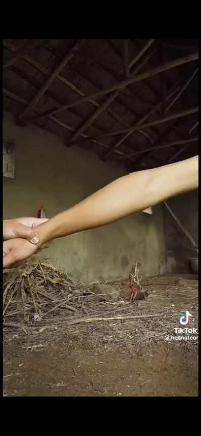 One piece live action is crazy 🤯 pt.2