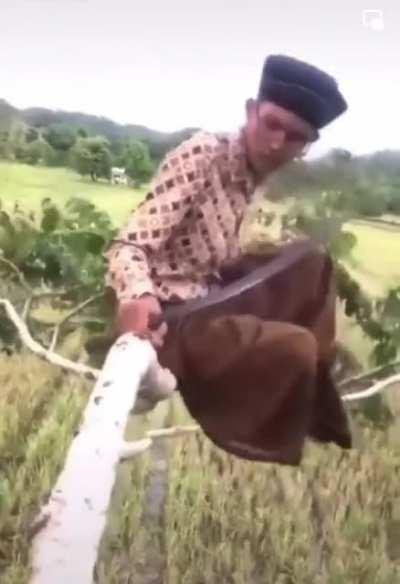 How to cut a tree branch