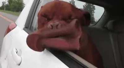 MRW i open the window while going down the freeway