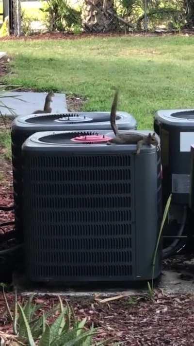 That's a long fart O,o