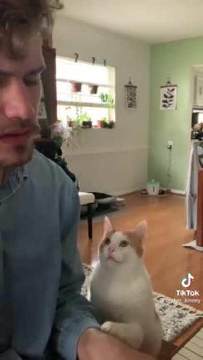 Get you someone who looks at you the way this cat looks at his talented man